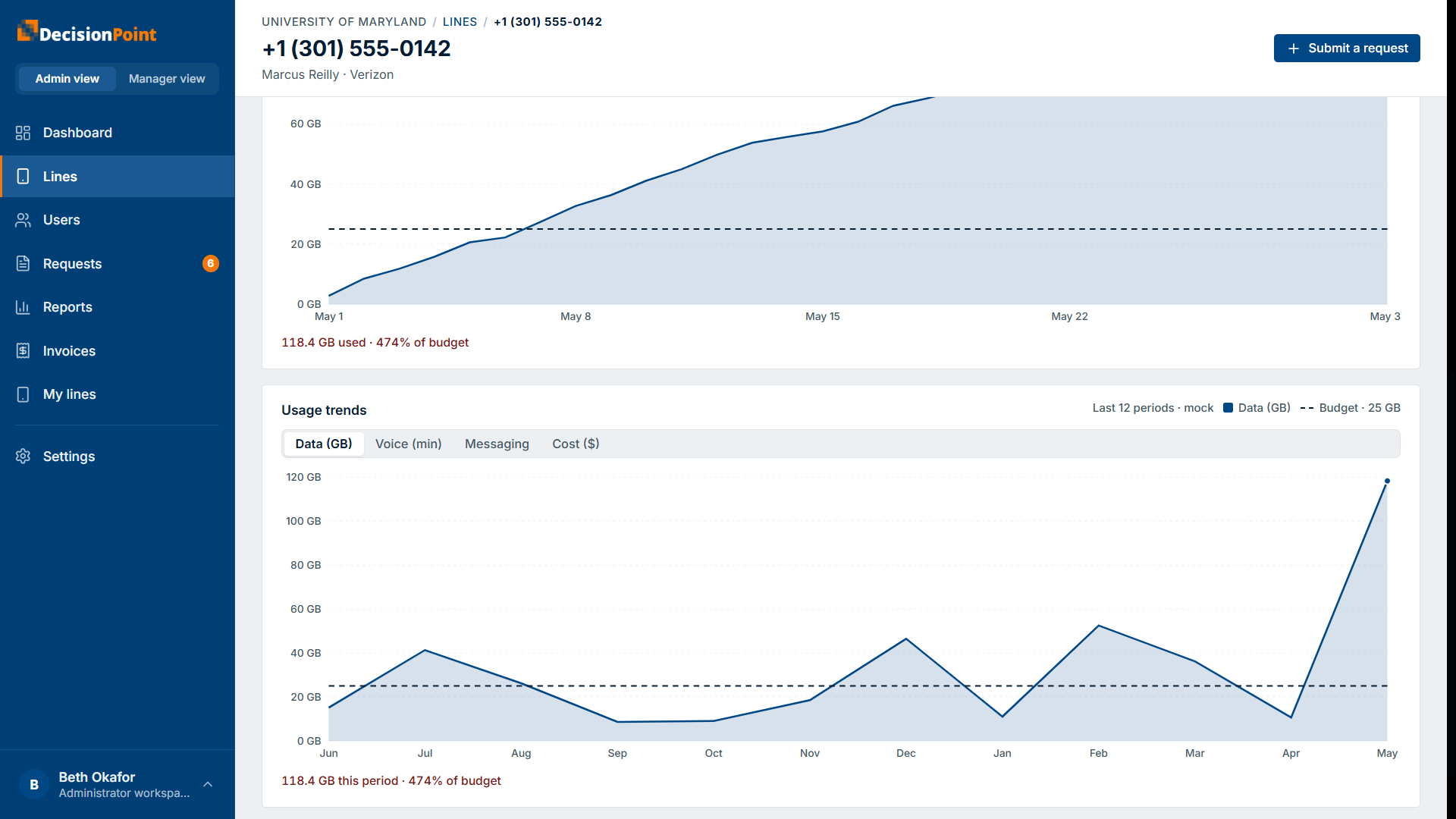 Line detail continued: cumulative usage against budget for the period, and a multi-period usage-trends chart.