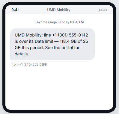 An overage alert as a text message: a short summary pointing back to the portal for details.